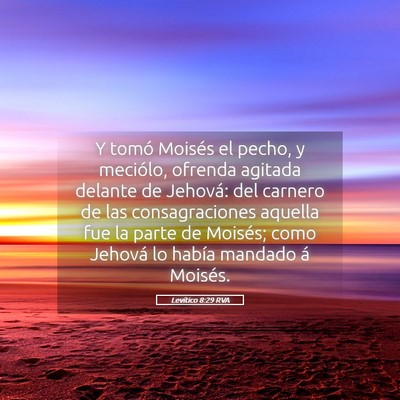 Picture 05 - Levítico 8:29 RVA - Y tomó Moisés el pecho, y meciólo, ofrenda - Bible Verse Picture