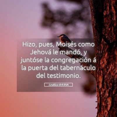 Picture 05 - Levítico 8:4 RVA - Hizo, pues, Moisés como Jehová le mandó, y - Bible Verse Picture