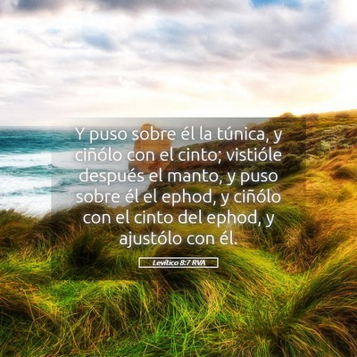 Picture 05 - Levítico 8:7 RVA - Y puso sobre él la túnica, y ciñólo con el - Bible Verse Picture