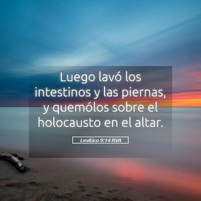 Picture 05 - Levítico 9:14 RVA - Luego lavó los intestinos y las piernas, y - Bible Verse Picture