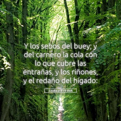 Picture 05 - Levítico 9:19 RVA - Y los sebos del buey; y del carnero la cola con - Bible Verse Picture
