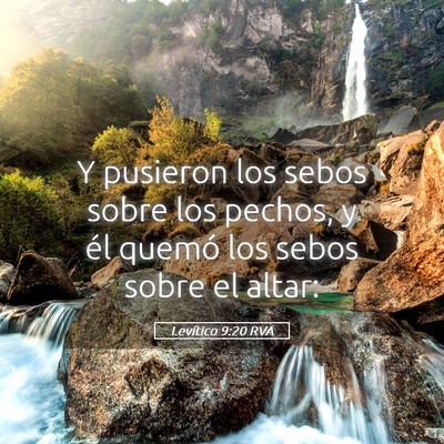 Picture 05 - Levítico 9:20 RVA - Y pusieron los sebos sobre los pechos, y él - Bible Verse Picture
