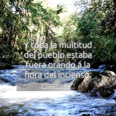 Picture 05 - Lucas 1:10 RVA - Y toda la multitud del pueblo estaba fuera orando - Bible Verse Picture