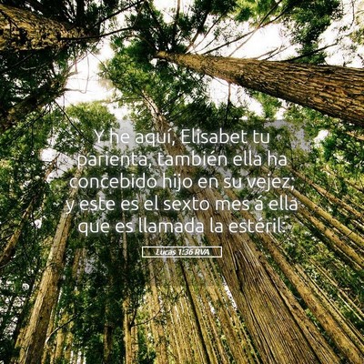 Picture 05 - Lucas 1:36 RVA - Y he aquí, Elisabet tu parienta, también ella - Bible Verse Picture