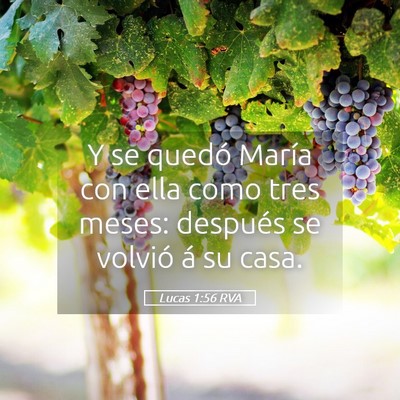 Picture 05 - Lucas 1:56 RVA - Y se quedó María con ella como tres meses: - Bible Verse Picture