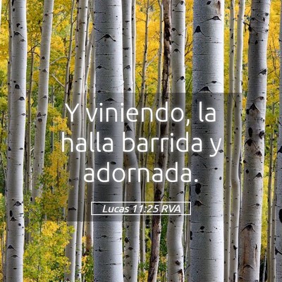 Picture 05 - Lucas 11:25 RVA - Y viniendo, la halla barrida y - Bible Verse Picture