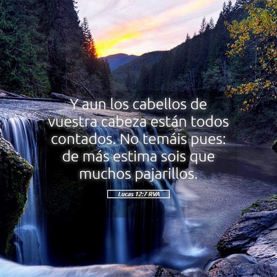 Picture 05 - Lucas 12:7 RVA - Y aun los cabellos de vuestra cabeza están todos - Bible Verse Picture