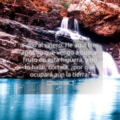 Picture 05 - Lucas 13:7 RVA - Y dijo al viñero: He aquí tres años ha que - Bible Verse Picture