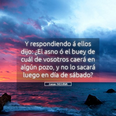 Picture 05 - Lucas 14:5 RVA - Y respondiendo á ellos dijo: ¿El asno ó el - Bible Verse Picture