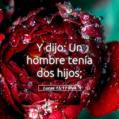 Picture 05 - Lucas 15:11 RVA - Y dijo: Un hombre tenía dos - Bible Verse Picture