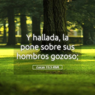 Picture 05 - Lucas 15:5 RVA - Y hallada, la pone sobre sus hombros - Bible Verse Picture