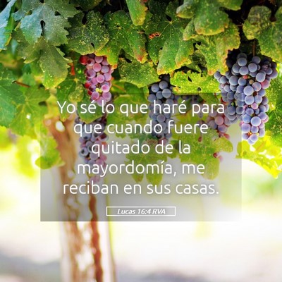 Picture 05 - Lucas 16:4 RVA - Yo sé lo que haré para que cuando fuere quitado - Bible Verse Picture