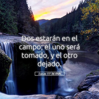 Picture 05 - Lucas 17:36 RVA - Dos estarán en el campo; el uno será tomado, y - Bible Verse Picture