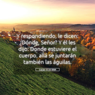 Picture 05 - Lucas 17:37 RVA - Y respondiendo, le dicen: ¿Dónde, Señor? Y él - Bible Verse Picture