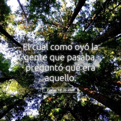 Picture 05 - Lucas 18:36 RVA - El cual como oyó la gente que pasaba, preguntó - Bible Verse Picture