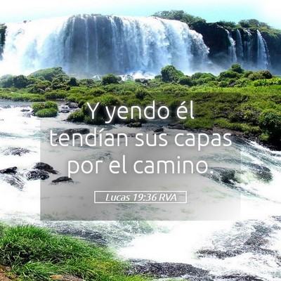 Picture 05 - Lucas 19:36 RVA - Y yendo él tendían sus capas por el - Bible Verse Picture