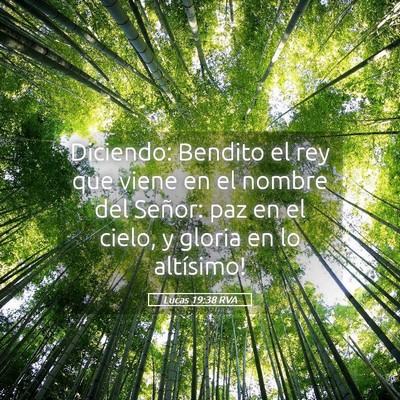Picture 05 - Lucas 19:38 RVA - Diciendo: ­Bendito el rey que viene en el nombre - Bible Verse Picture