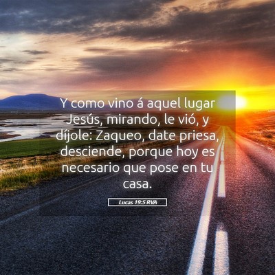 Picture 05 - Lucas 19:5 RVA - Y como vino á aquel lugar Jesús, mirando, le - Bible Verse Picture
