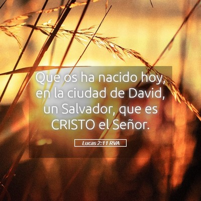 Picture 05 - Lucas 2:11 RVA - Que os ha nacido hoy, en la ciudad de David, un - Bible Verse Picture