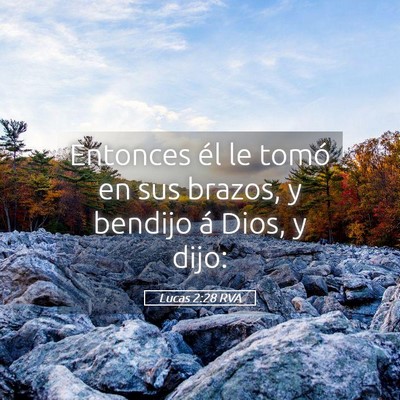 Picture 05 - Lucas 2:28 RVA - Entonces él le tomó en sus brazos, y bendijo á - Bible Verse Picture