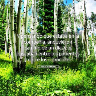 Picture 05 - Lucas 2:44 RVA - Y pensando que estaba en la compañía, - Bible Verse Picture