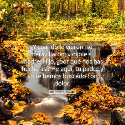 Picture 05 - Lucas 2:48 RVA - Y cuando le vieron, se maravillaron; y díjole su - Bible Verse Picture