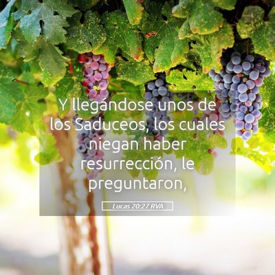 Picture 05 - Lucas 20:27 RVA - Y llegándose unos de los Saduceos, los cuales - Bible Verse Picture
