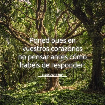 Picture 05 - Lucas 21:14 RVA - Poned pues en vuestros corazones no pensar antes - Bible Verse Picture