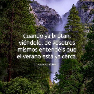 Picture 05 - Lucas 21:30 RVA - Cuando ya brotan, viéndolo, de vosotros mismos - Bible Verse Picture