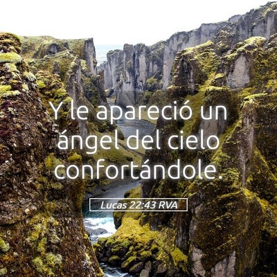 Picture 05 - Lucas 22:43 RVA - Y le apareció un ángel del cielo - Bible Verse Picture