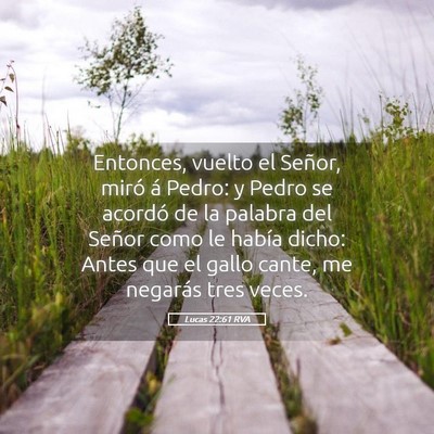 Picture 05 - Lucas 22:61 RVA - Entonces, vuelto el Señor, miró á Pedro: y - Bible Verse Picture