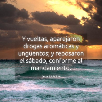 Picture 05 - Lucas 23:56 RVA - Y vueltas, aparejaron drogas aromáticas y - Bible Verse Picture