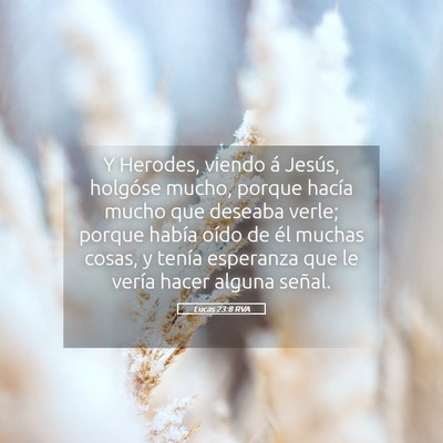 Picture 05 - Lucas 23:8 RVA - Y Herodes, viendo á Jesús, holgóse mucho, - Bible Verse Picture