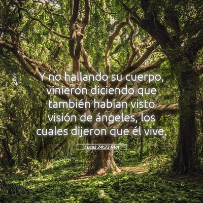 Picture 05 - Lucas 24:23 RVA - Y no hallando su cuerpo, vinieron diciendo que - Bible Verse Picture