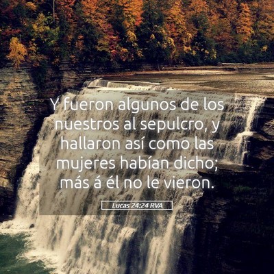 Picture 05 - Lucas 24:24 RVA - Y fueron algunos de los nuestros al sepulcro, y - Bible Verse Picture