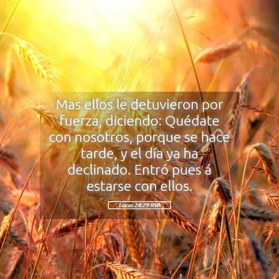Picture 05 - Lucas 24:29 RVA - Mas ellos le detuvieron por fuerza, diciendo: - Bible Verse Picture