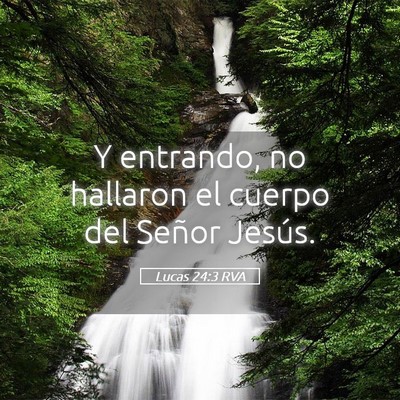 Picture 05 - Lucas 24:3 RVA - Y entrando, no hallaron el cuerpo del Señor - Bible Verse Picture
