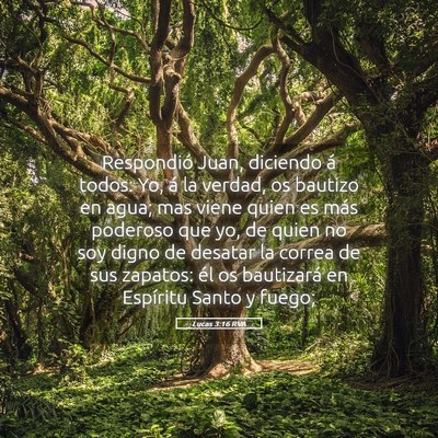 Picture 05 - Lucas 3:16 RVA - Respondió Juan, diciendo á todos: Yo, á la - Bible Verse Picture