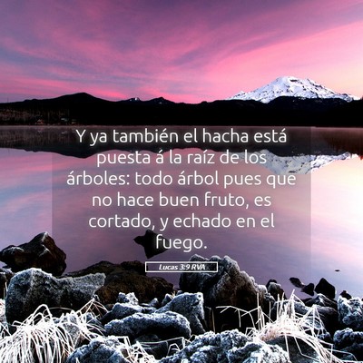 Picture 05 - Lucas 3:9 RVA - Y ya también el hacha está puesta á la raíz - Bible Verse Picture