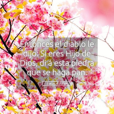 Picture 05 - Lucas 4:3 RVA - Entonces el diablo le dijo: Si eres Hijo de Dios, - Bible Verse Picture