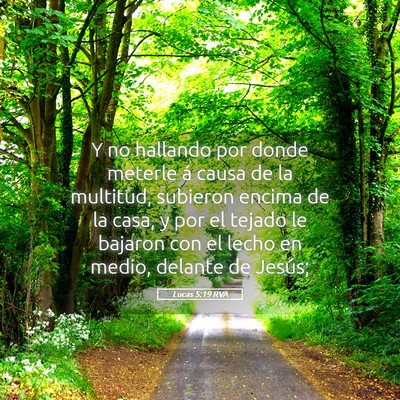 Picture 05 - Lucas 5:19 RVA - Y no hallando por donde meterle á causa de la - Bible Verse Picture