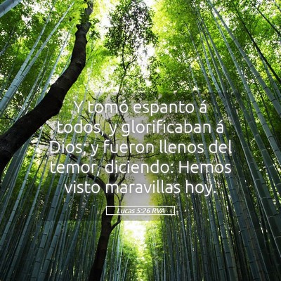 Picture 05 - Lucas 5:26 RVA - Y tomó espanto á todos, y glorificaban á Dios; - Bible Verse Picture