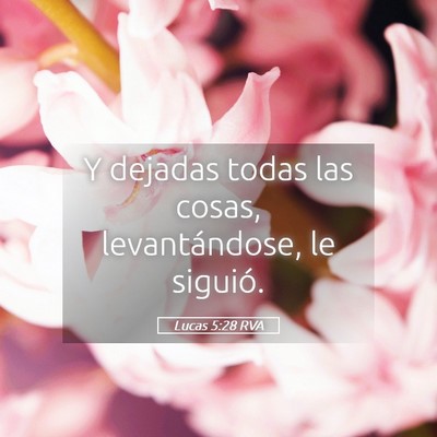 Picture 05 - Lucas 5:28 RVA - Y dejadas todas las cosas, levantándose, le - Bible Verse Picture