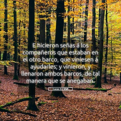 Picture 05 - Lucas 5:7 RVA - E hicieron señas á los compañeros que estaban - Bible Verse Picture
