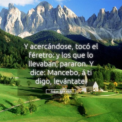 Picture 05 - Lucas 7:14 RVA - Y acercándose, tocó el féretro: y los que lo - Bible Verse Picture