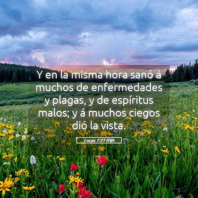 Picture 05 - Lucas 7:21 RVA - Y en la misma hora sanó á muchos de - Bible Verse Picture