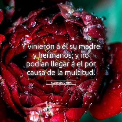 Picture 05 - Lucas 8:19 RVA - Y vinieron á él su madre y hermanos; y no - Bible Verse Picture