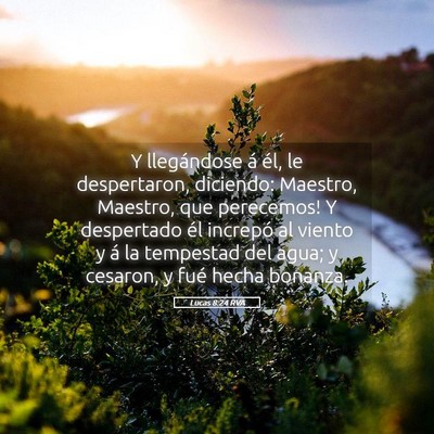 Picture 05 - Lucas 8:24 RVA - Y llegándose á él, le despertaron, diciendo: - Bible Verse Picture