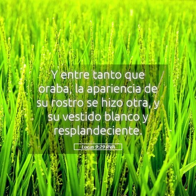 Picture 05 - Lucas 9:29 RVA - Y entre tanto que oraba, la apariencia de su - Bible Verse Picture