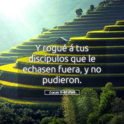 Picture 05 - Lucas 9:40 RVA - Y rogué á tus discípulos que le echasen fuera, - Bible Verse Picture